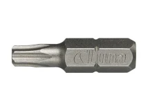 LUNA GROTY TORX T25 (10 SZT.)